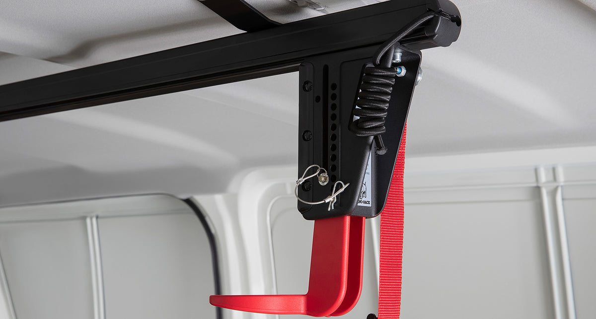 Internal Ladder Rack