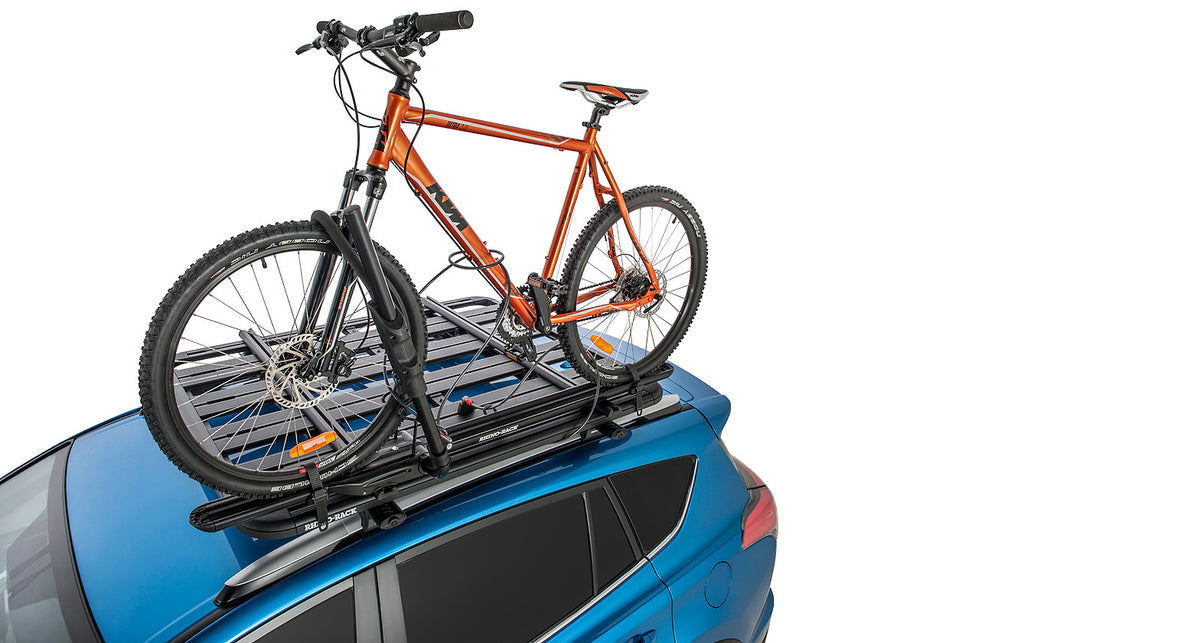 Hybrid Bike Carrier (16)